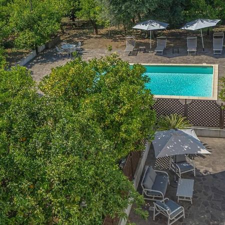 Casa Gege', For Up To 5 Guests, Shared Pool, Sorrento Center Lejlighed Eksteriør billede