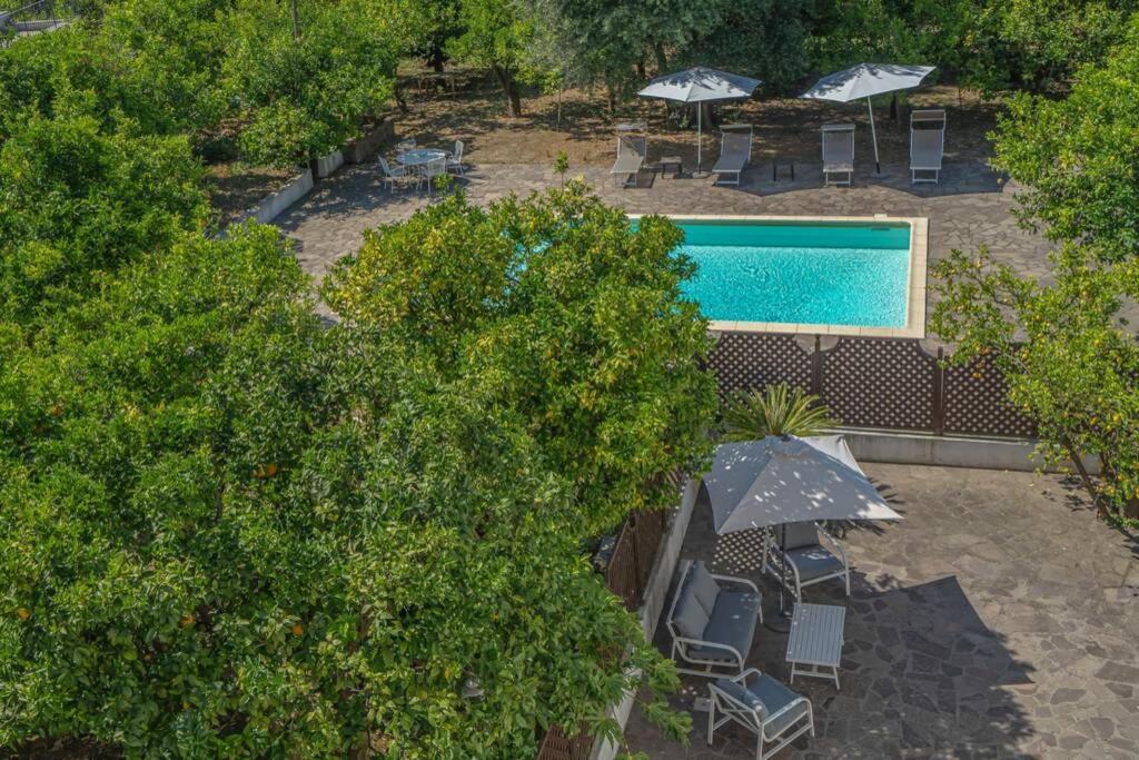 Casa Gege', For Up To 5 Guests, Shared Pool, Sorrento Center Lejlighed Eksteriør billede